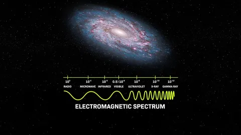 The Craziest Experiment Humans Have Ever Built