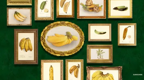 The banana is under threat